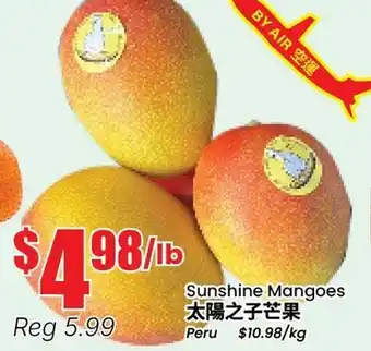 Terra Foodmart Sunshine Mangoes offer