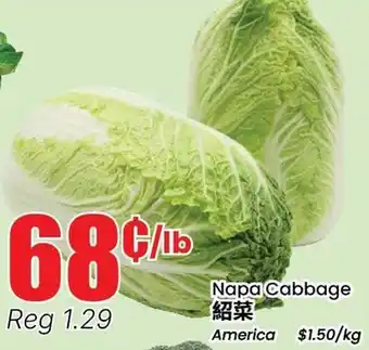 Terra Foodmart Napa Cabbage offer
