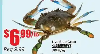 Terra Foodmart Live Blue Crab offer
