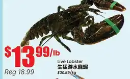 Terra Foodmart Live Lobster offer