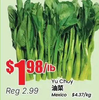 Terra Foodmart Yu Choy offer
