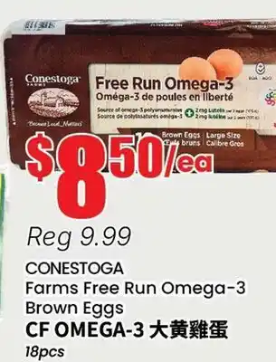 Terra Foodmart CONESTOGA Farms Free Run Omega-3 Brown Eggs offer