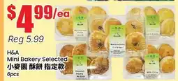 Terra Foodmart H&A Mini Bakery Selected offer