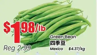 Terra Foodmart Green Bean offer