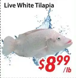 Bestco Food Mart Live White Tilapia offer