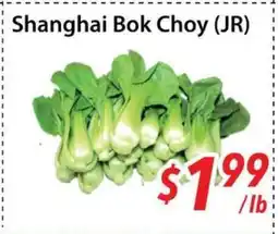 Bestco Food Mart Shanghai Bok Choy (JR) offer