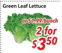 Bestco Food Mart Green Leaf Lettuce offer