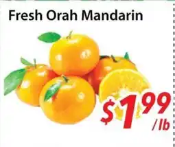 Bestco Food Mart Fresh Orah Mandarin offer