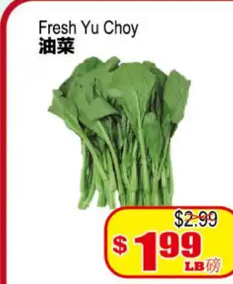 Yuan Ming Supermarket Fresh Yu Choy offer