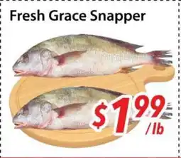 Bestco Food Mart Fresh Grace Snapper offer