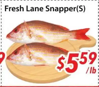 Bestco Food Mart Fresh Lane Snapper(S) offer