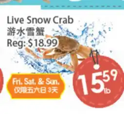 Fresh Palace Supermarket Live Snow Crab offer