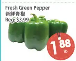 Fresh Palace Supermarket Fresh Green Pepper offer