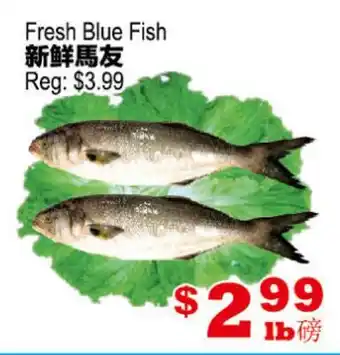 Yuan Ming Supermarket Fresh Blue Fish offer