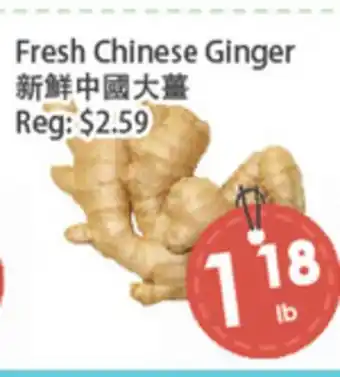 Fresh Palace Supermarket Fresh Chinese Ginger offer