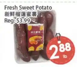 Fresh Palace Supermarket Fresh Sweet Potato offer