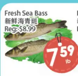 Fresh Palace Supermarket Fresh Sea Bass offer