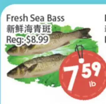 Fresh Palace Supermarket Fresh Sea Bass offer