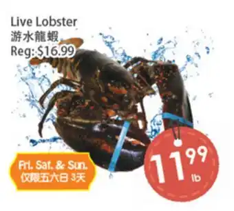 Fresh Palace Supermarket Live Lobster offer