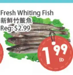 Fresh Palace Supermarket Fresh Whiting Fish offer