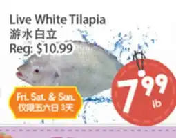 Fresh Palace Supermarket Live White Tilapia offer