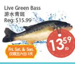 Fresh Palace Supermarket Live Green Bass offer
