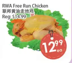 Fresh Palace Supermarket RWA Free Run Chicken offer