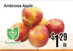 Nations Fresh Foods Ambrosia Apple offer