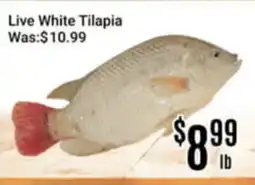 Nations Fresh Foods Live White Tilapia offer