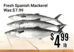 Nations Fresh Foods Fresh Spanish Mackerel offer