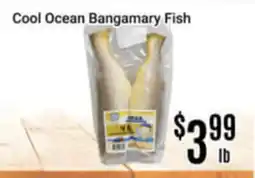 Nations Fresh Foods Cool Ocean Bangamary Fish offer
