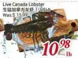 Tone Tai Supermarket Live Canada Lobster offer
