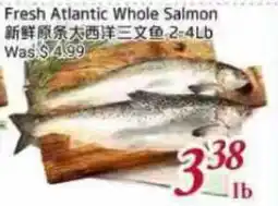 Tone Tai Supermarket Fresh Atlantic Whole Salmon offer