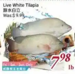 Tone Tai Supermarket Live White Tilapia offer