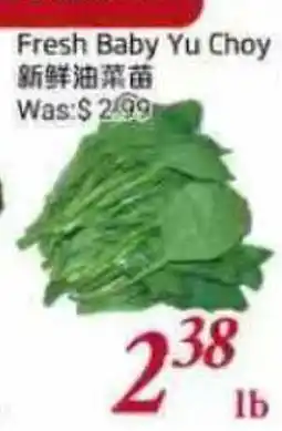 Tone Tai Supermarket Fresh Baby Yu Choy offer