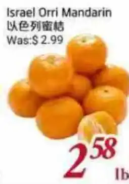 Tone Tai Supermarket Israel Orri Mandarin offer