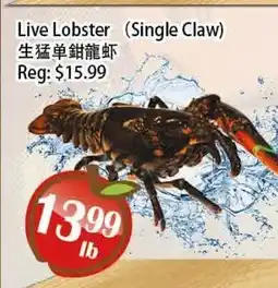 Food Depot Supermarket Live Lobster (Single Claw) offer