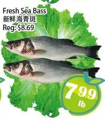 Food Depot Supermarket Fresh Sea Bass offer