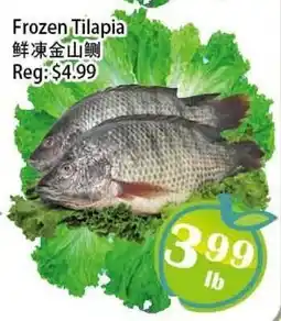 Food Depot Supermarket Frozen Tilapia offer