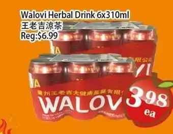 Food Depot Supermarket Walovi Herbal Drink offer