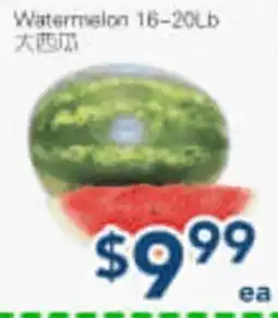 Oceans Fresh Food Market Watermelon offer