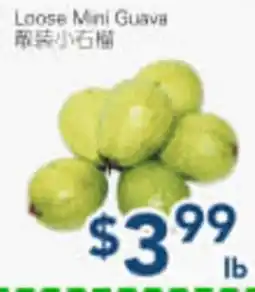 Oceans Fresh Food Market Loose Mini Guava offer