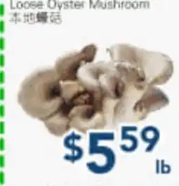 Oceans Fresh Food Market Local Oyster Mushroom offer