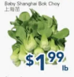 Oceans Fresh Food Market Baby Shanghai Bok Choy offer