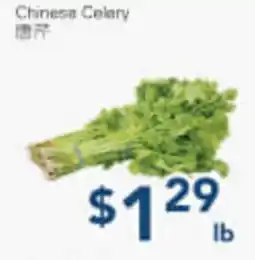Oceans Fresh Food Market Chinese Celery offer