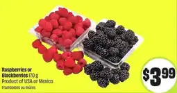 FreshCo Raspberries or Blackberries offer