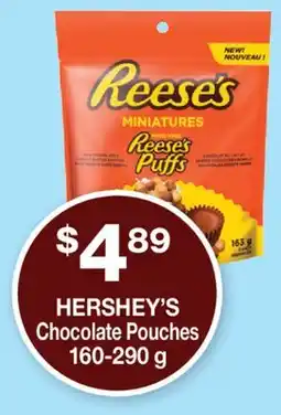 Wholesale Club HERSHEY'S CHOCOLATE POUCHES offer