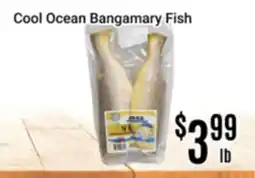 Nations Fresh Foods Cool Ocean Bangamary Fish offer