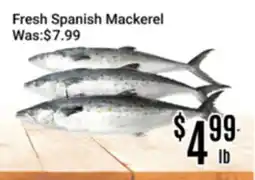 Nations Fresh Foods Fresh Spanish Mackerel offer
