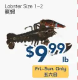 Oceans Fresh Food Market Lobster Size 1-2 offer